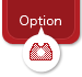 Option