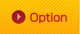 Option