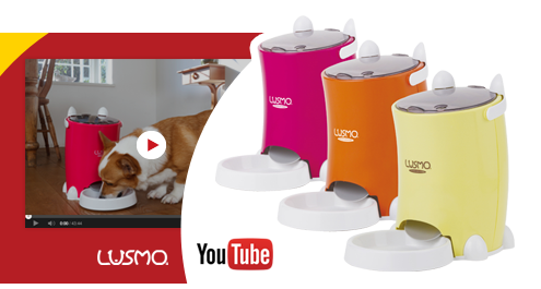 YouTube