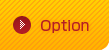 Option