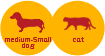 medium-small dog/cat