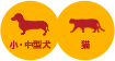 小・中型犬／猫